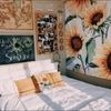 delalaus4